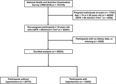 The dietary inflammatory index and its association with the prevalence of hypertension: A cross-sectional study